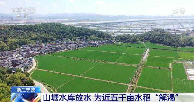 长江流域多个省市积极行动应对旱情